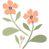 Modern trendy flowers