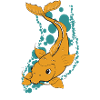 Lucky koi