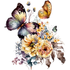 Schmetterling