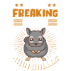 Chinchilla owner chinchillas gift