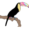 Toucan Tie Dye Version