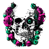 illustration skull made