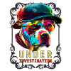 Pitbull under investigation