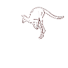 AUSTRALIA KANGAROO