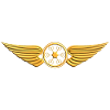 Drone Pilot