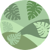 Tropisches Pflanzen Design