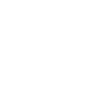 Anime Lion