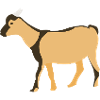 goat