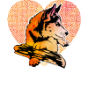 Husky