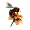 Bee on flower