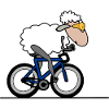 Triathlon Time Trial Sheep