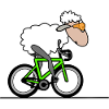 Radsport Schaf