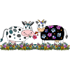 Cows