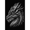 Black and white dragon
