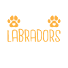 Labrador Lover Gifts