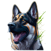 German Shepherd Head Splashart