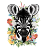 Zebra flowers