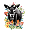 Donkey Flowers