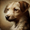 DOG PORTRAIT