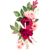 King flowers