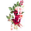 Peace flowers