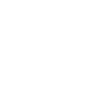 Bear Grizzly Animal