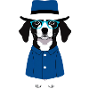 Funny dog