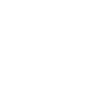 Lapin