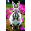 Lapin fleuri