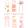 stay positive pawsitive