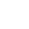 School Social Worker