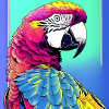 Neon Macaw