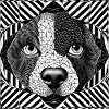 Geometric Canine Pattern Art