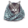 Cat in a blanket