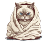 Chat dans une couverture