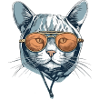 The cat with glasses