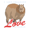 Capybara Capybaras Capybara Capybara Cadeau