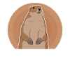 Marmotte Munggen Mankai marmotte cadeau