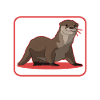Otter Otter Otter Gift