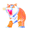 Sabre-toothed tiger Smilodon