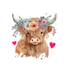 Vache des Highlands Hochlandkuh