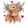 Highland Cow Hochlandkuh