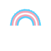 Transgender Trans LGBTQ