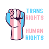 Transgender Trans LGBTQ