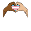 Transgender Trans LGBTQ
