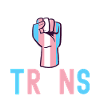 Transgender Trans LGBTQ