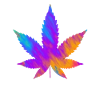 Cannabis Blatt | Hanfblatt Bunt