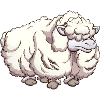 Hairy Cartoon Sheep