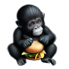 Gorilla loves cheeseburgers