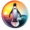 Penguin Surfer Sunset